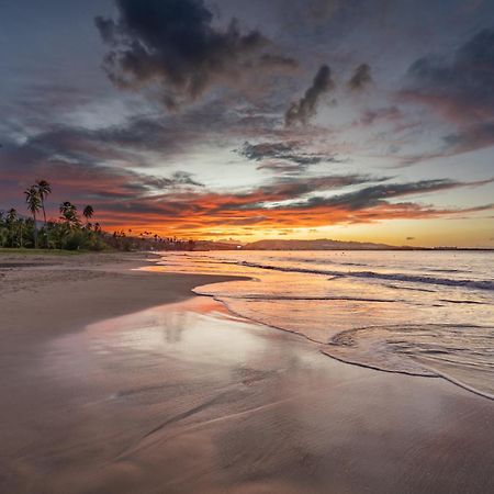 Blue Water Beach Villa Luquillo Zewnętrze zdjęcie